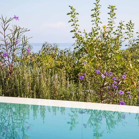 Villa Alkyoni Mare